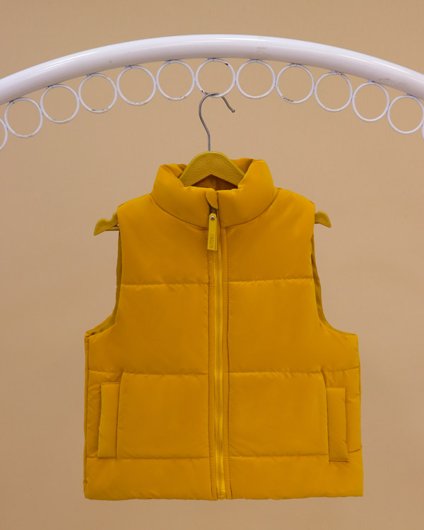 پافر رنگارنگ